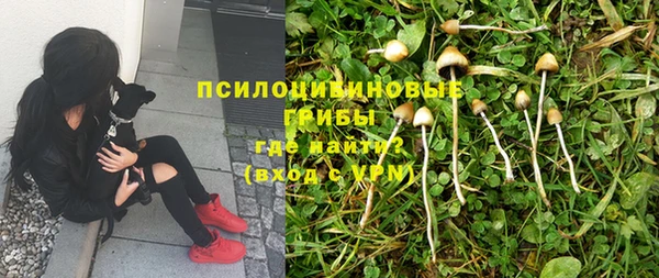 таблы Зеленокумск