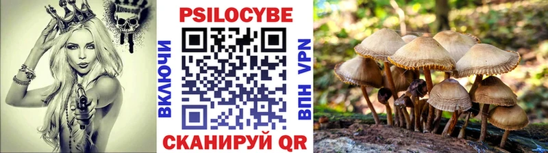 Купить Новоульяновск Галлюциногенные грибы Psilocybe